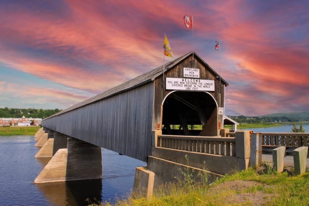 New Brunswick begins reopening immigration programs