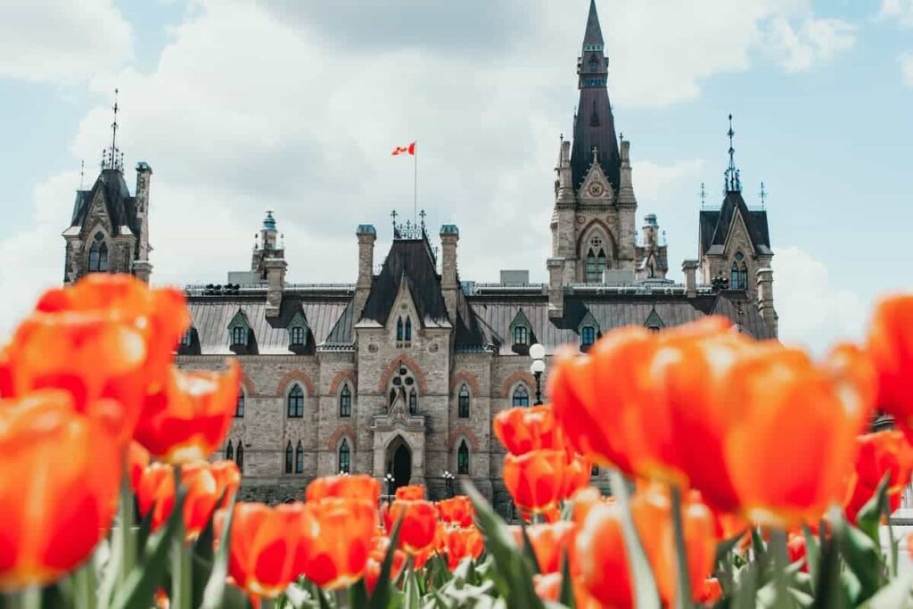 BREAKING: Canada removes bonus CRS points for arranged employment from Express Entry