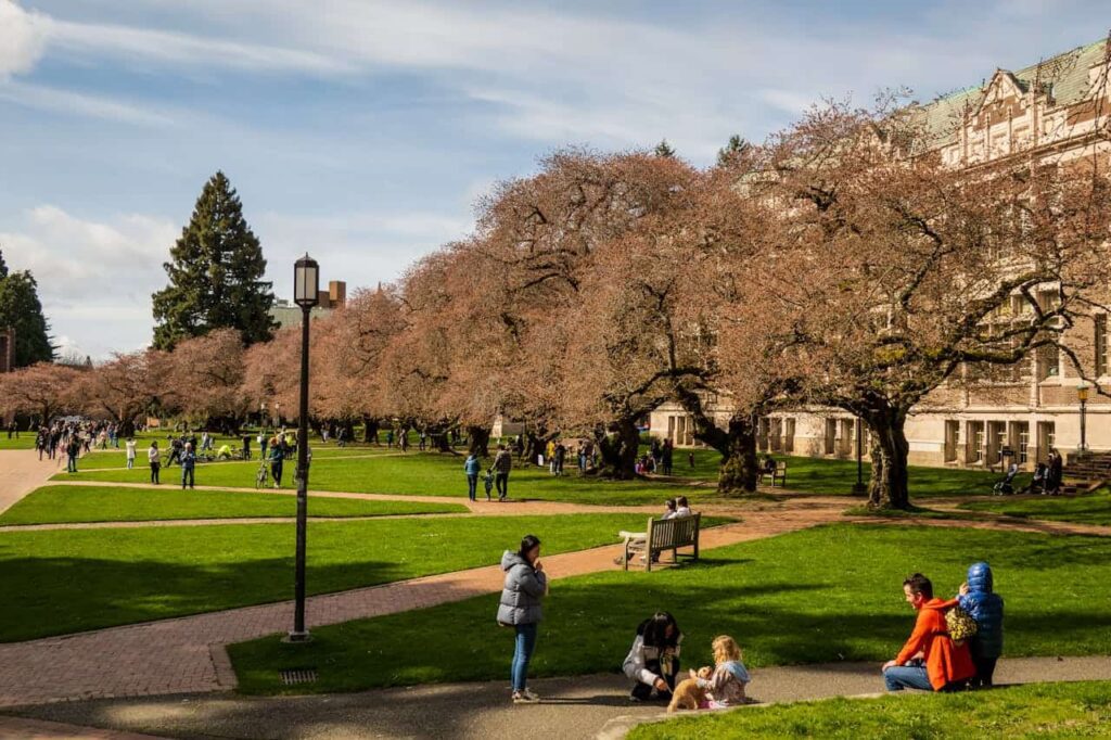 Students walking on US college campus lawn.