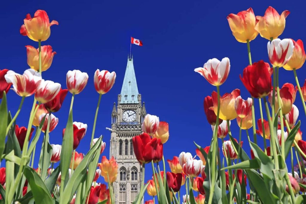Carney reinforces immigration priorities in new mandate letter to ministers
