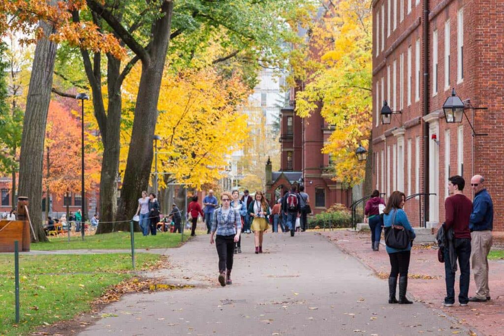 Judge halts ban on international enrolments at Harvard