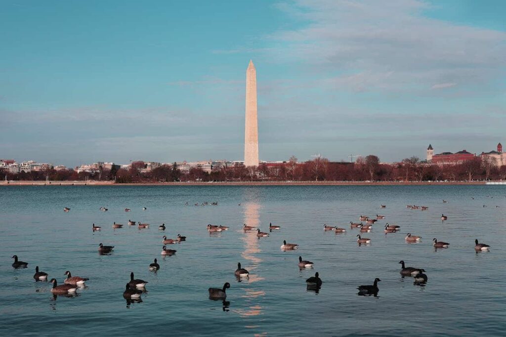 Washington monument, USA.