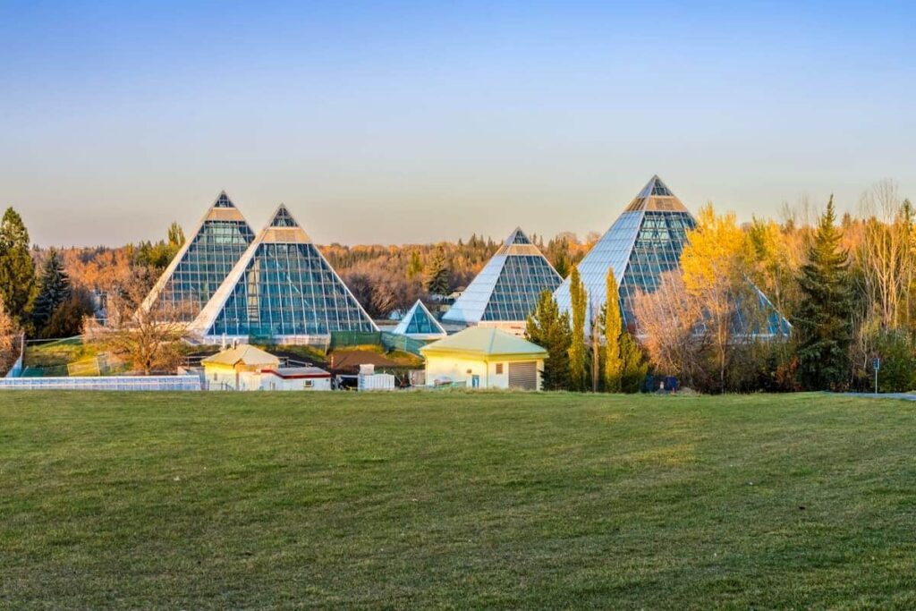 Alberta holds five provincial immigration draws