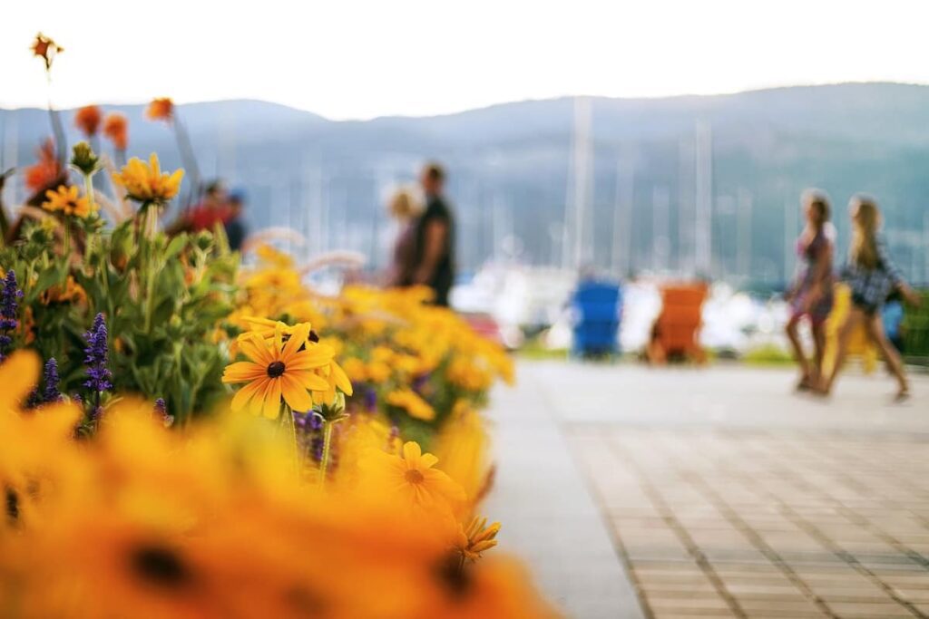 British Columbia issues invitations under entrepreneur streams