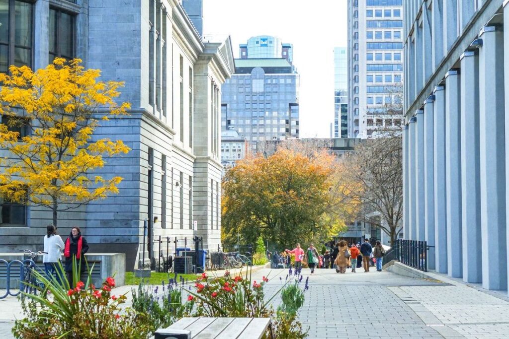 These are the top universities in Canada, according to the 2026 QS World University Rankings
