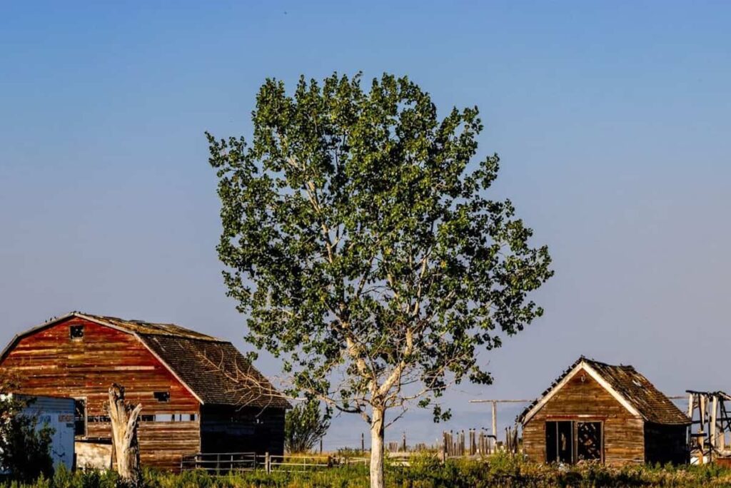 Claresholm announces RCIP designated employers and reveals who’s hiring now