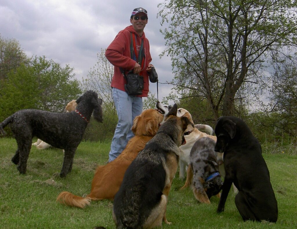 How a Canadian Entrepreneur Is Helping Dogs Stay Tick-Free