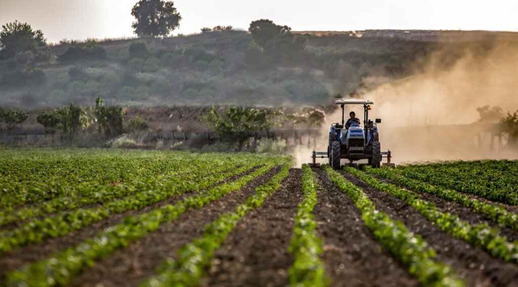 Our Agriculture Needs Innovation, Not Mass Immigration