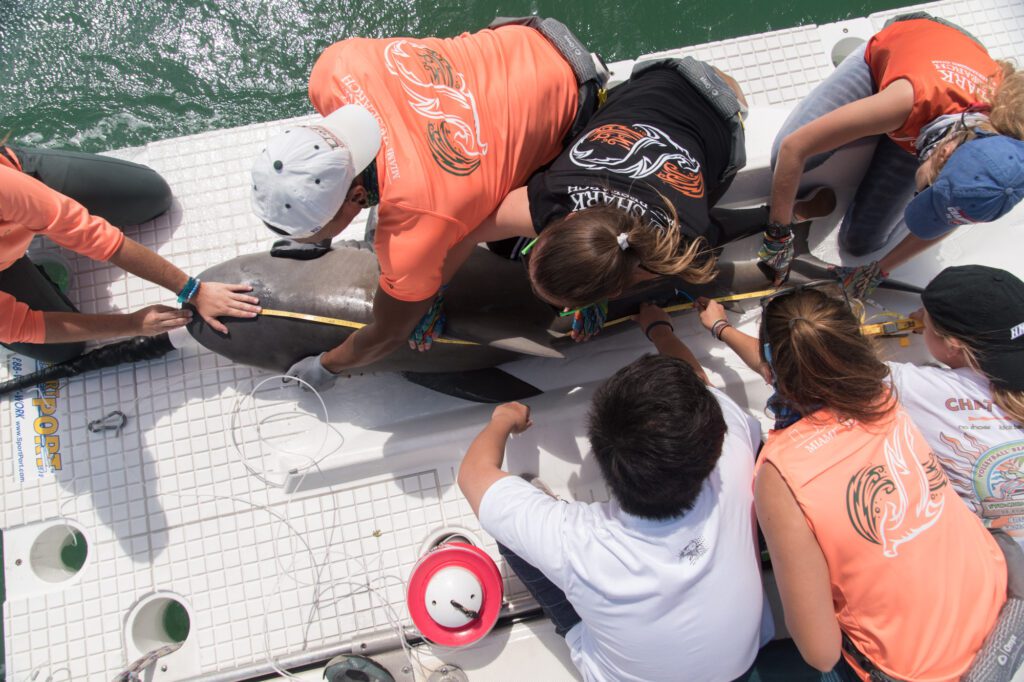 University of Miami