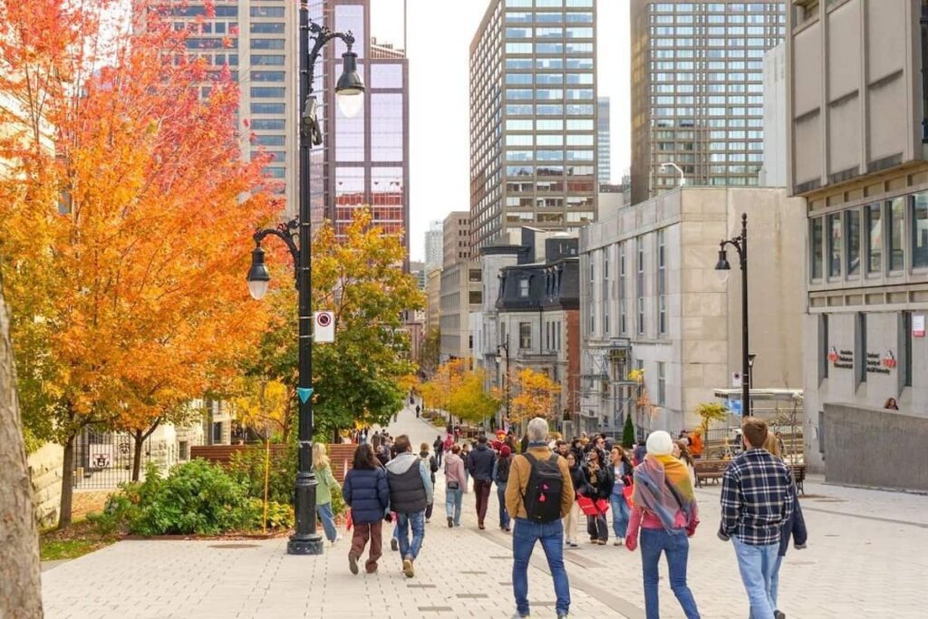 Four Canadian cities named among world’s top 100 for international students in 2026